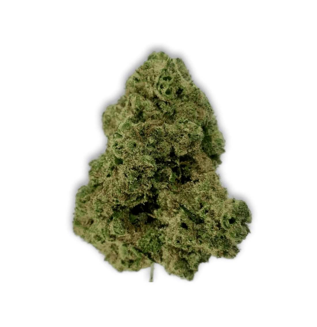 Banana Kush - 24.89% - Indoor - Daily Hi