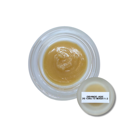 The Bryantist - Live Rosin