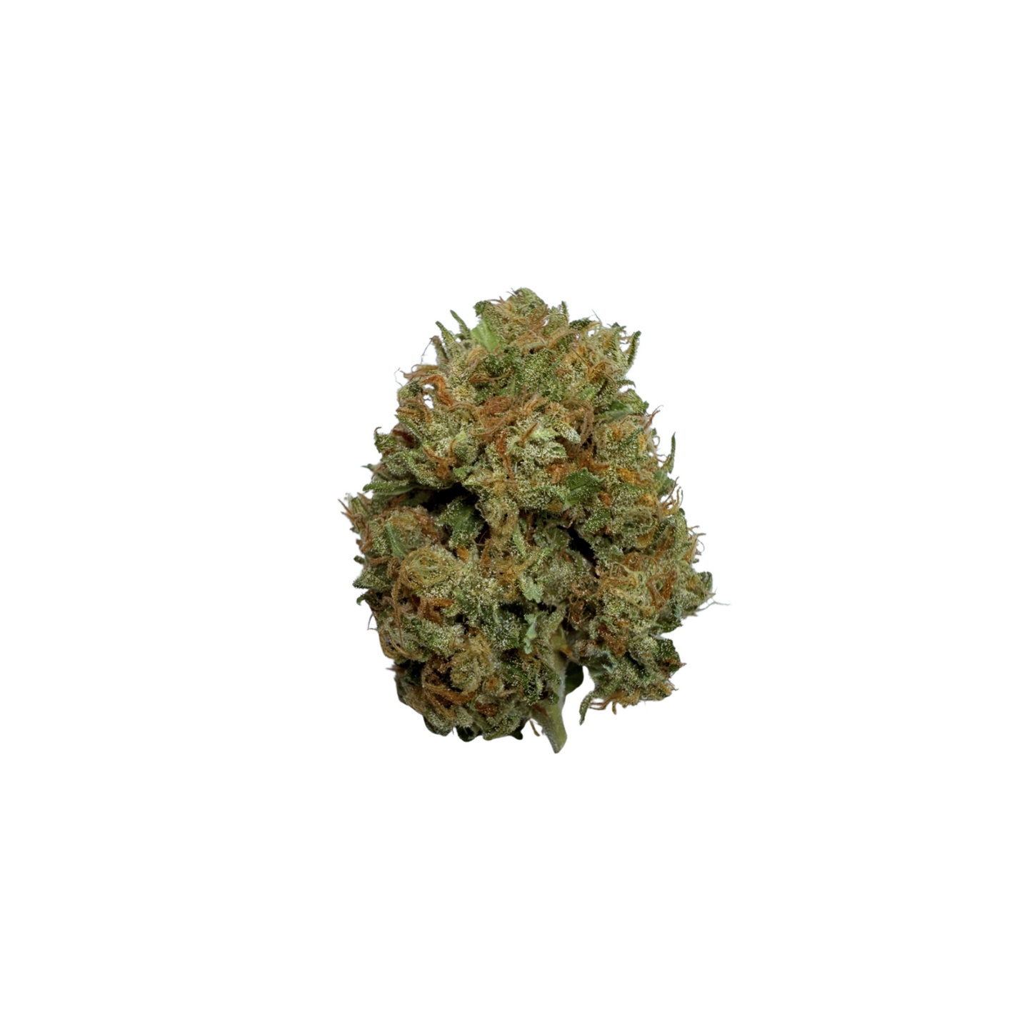 Heal Thyself Gardens - Boutique Flower