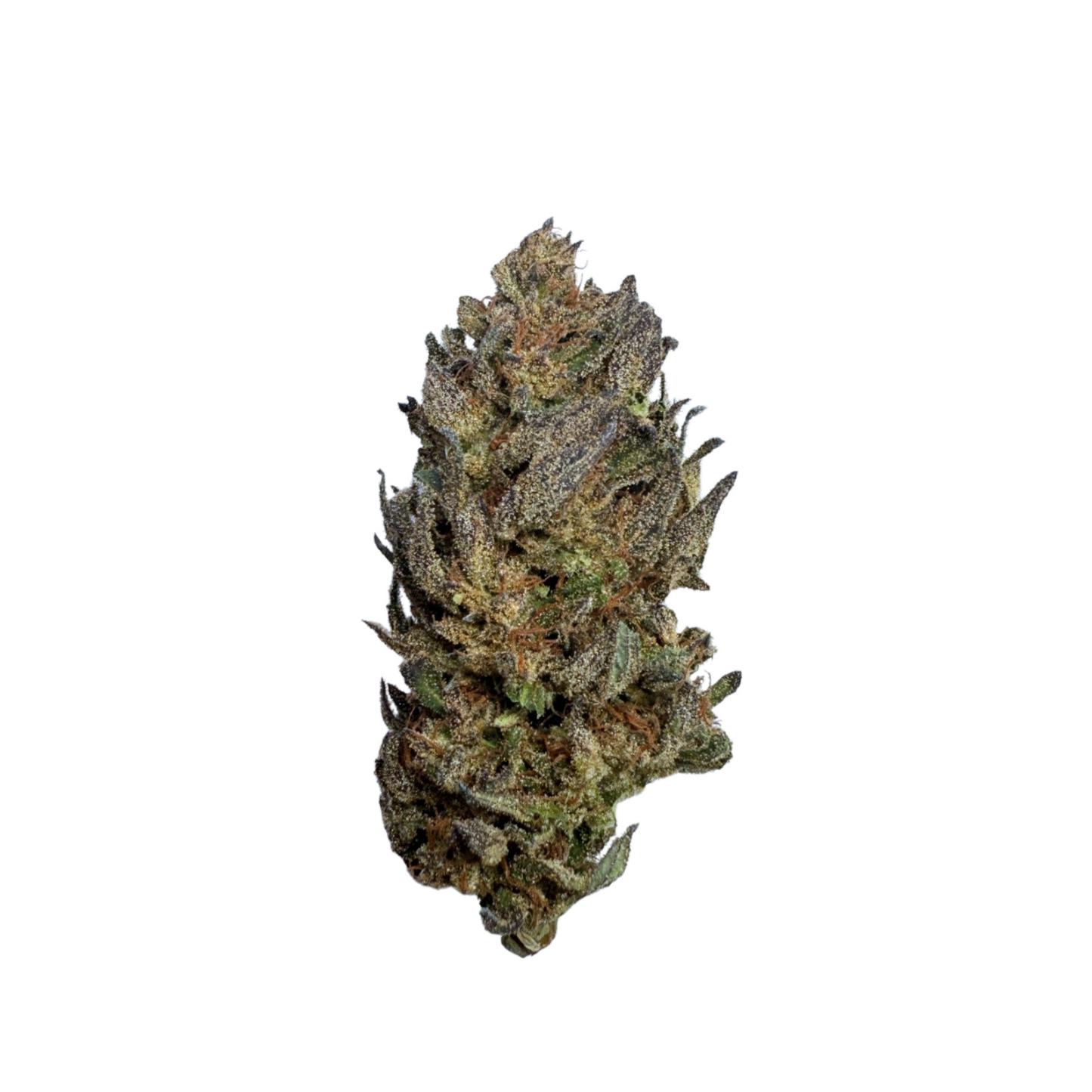 Blissed Out - Boutique Flower