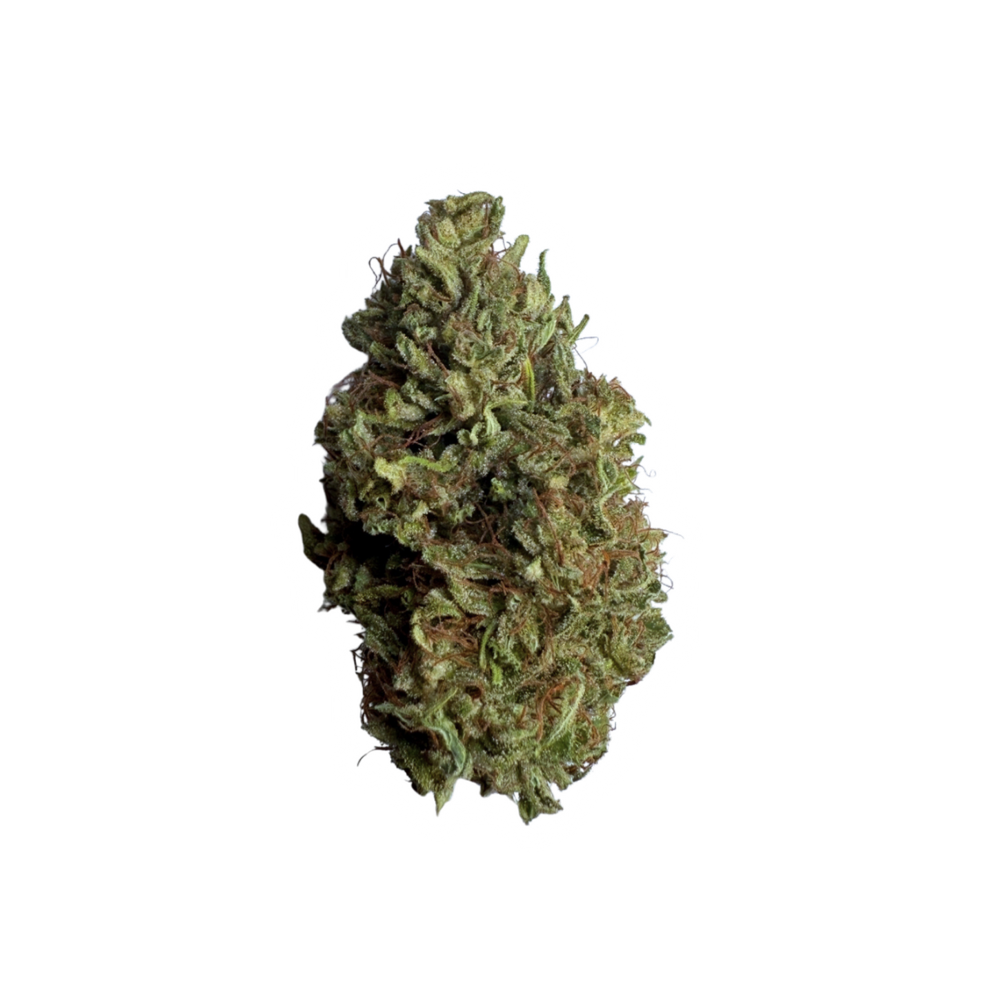 Blissed Out - Boutique Flower