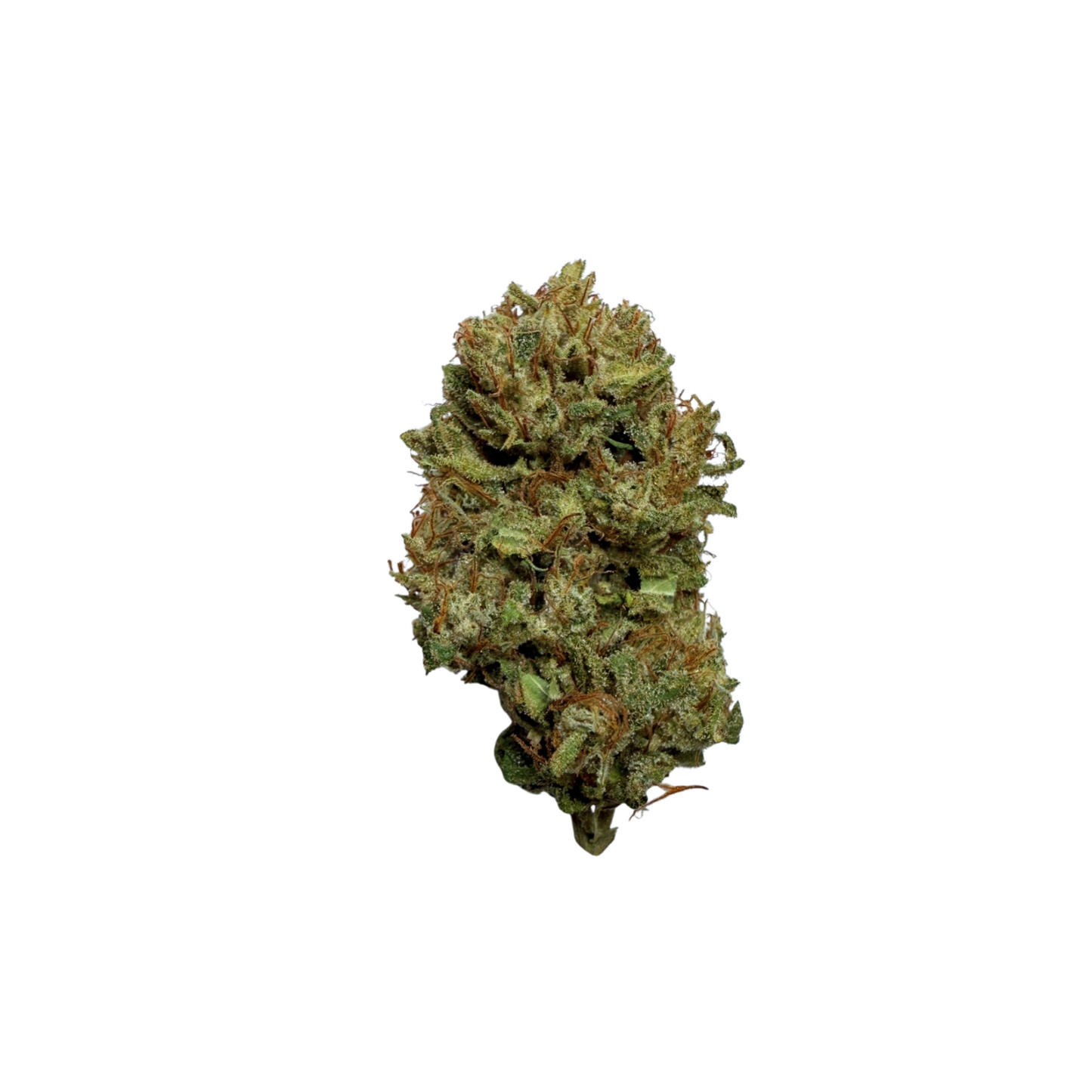 Heal Thyself Gardens - Boutique Flower