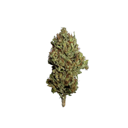 Blissed Out - Boutique Flower