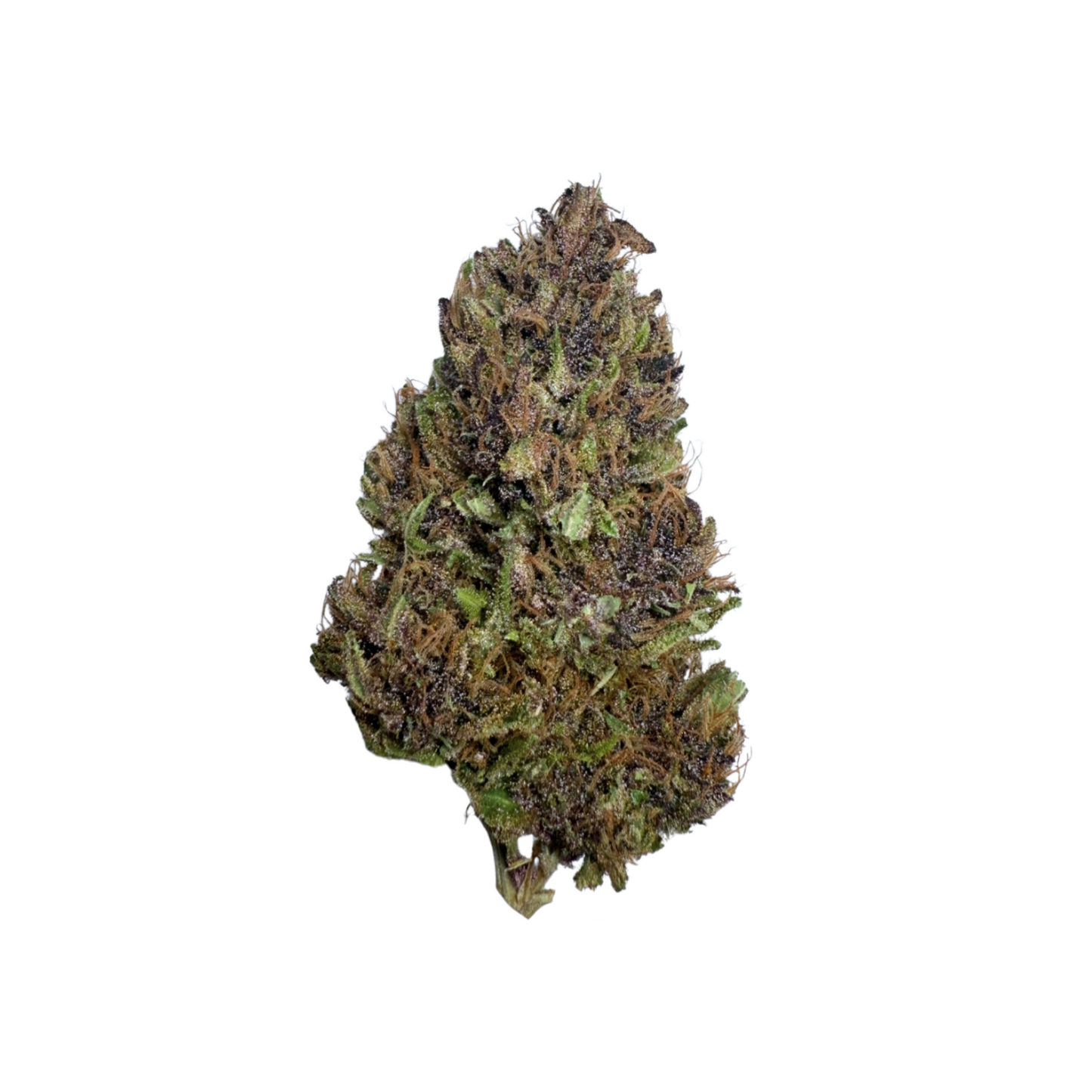 Blissed Out - Boutique Flower