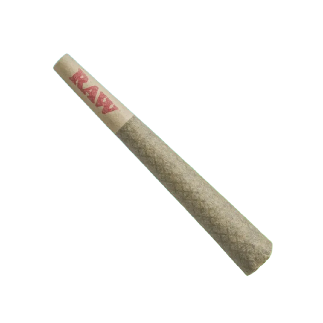 Gary Payton - Preroll - Daily Hi