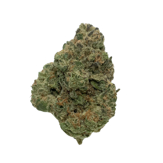 Mango Mentality - 23.91% - Indoor