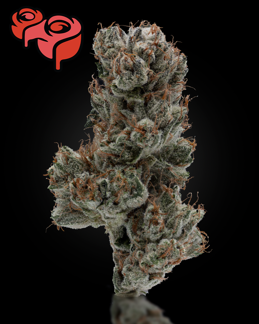 Rose Gardens - Boutique Flower